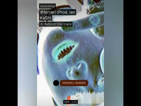 바이스벌사(Viceversa) - @ferrari