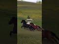 Mission: find a sport a horse CANT do?! | pt. 2 | #horse #riding #sports