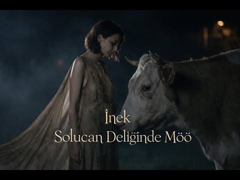 İnek - Solucan Deliğinde Möö