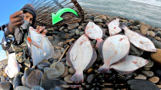 Pescador Lanza su Vinilo Letal  logrando capturar muchos lenguados