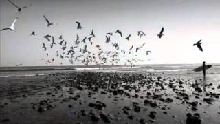 15 Bölüm Tarikatlar Sesli Kitap