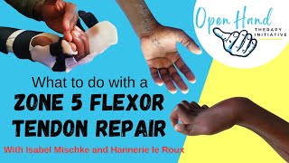 What to do with a Zone 5 Flexor Tendon Repair