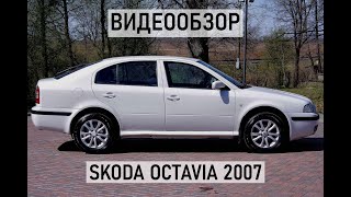 Обзор Skoda Octavia 2007 1.6 MPI