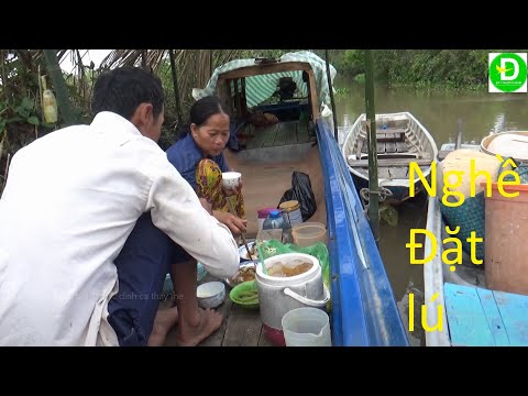 Video 263 Đổ Lú Trúng Cá - Đồng Bơm Nước | Đất Phương Nam - youtube