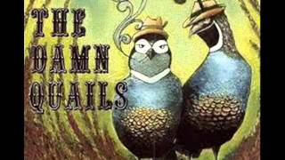 The Damn Quails - Rattlesnakes In The Cotton chords