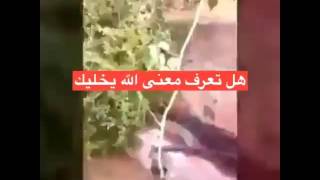 هل تعرف كلمة الله يخليك .. اسمع الشيخ ابن عثيمين