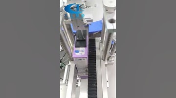 Carton Packing Machine Factory | The price reasonable The light bulb Cartoning Machine