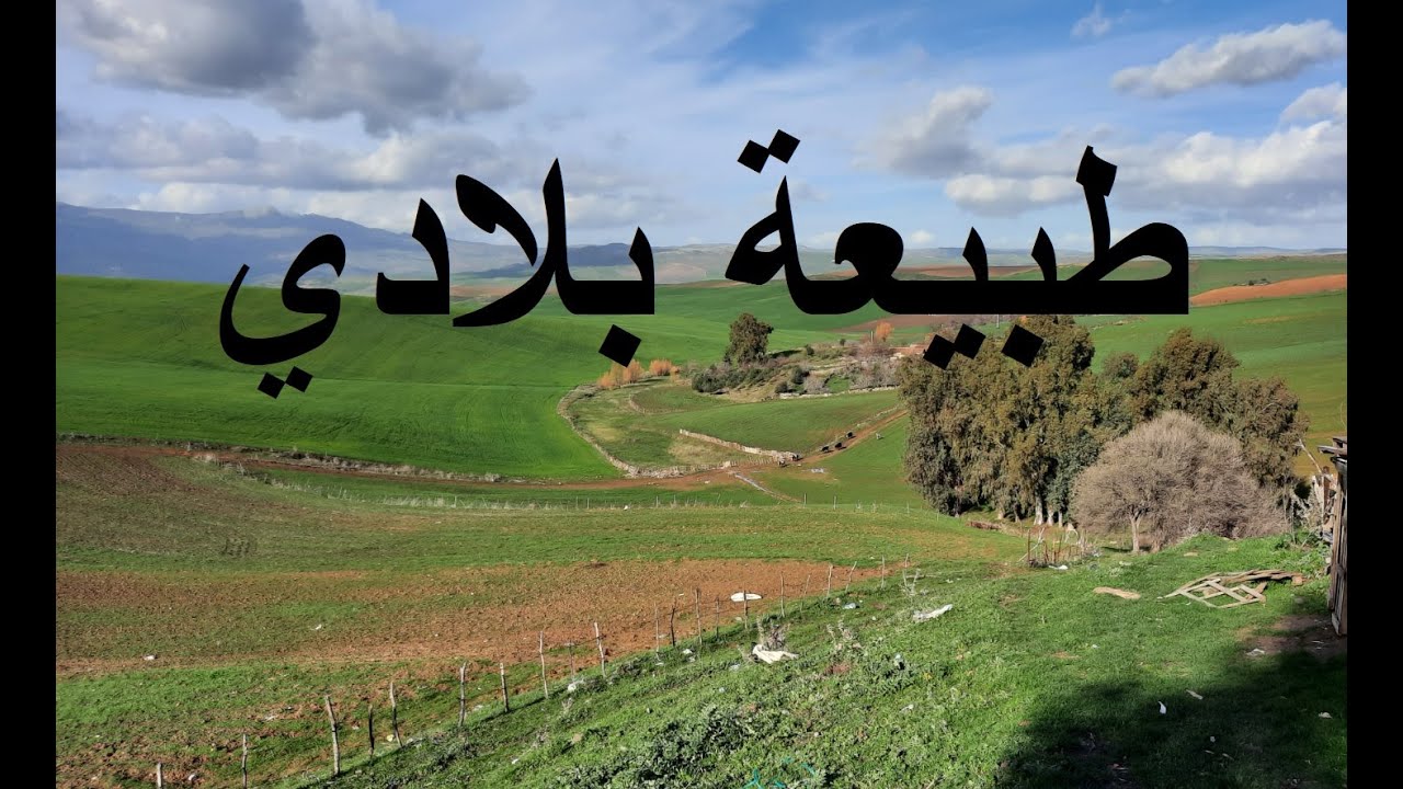 تحويسة قي ديدوش مراد قسنطينة جمال بلادي