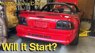 97 Mustang Cobra Engine Rebuild is Done (Part 20)