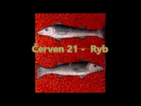 Video: Červen - Letní Rybářská Tajemství