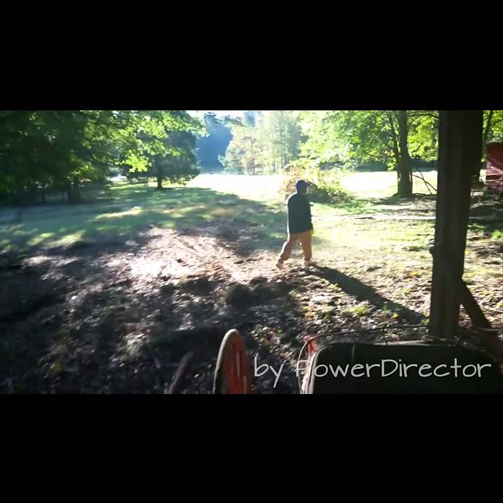 Tons of money in junk removal