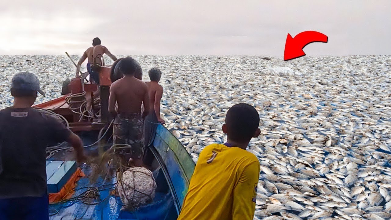 مقاطع غريبة وأحداث غامضة !! أغرب 200 لحظة لا يمكن تصديقها لولا كاميرات المراقبة