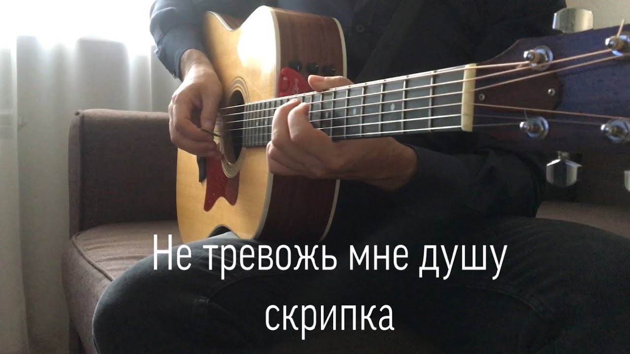 Не тревожь мне душу текст. Не тревожь мне душу скрипка. Меладзе скрипка.