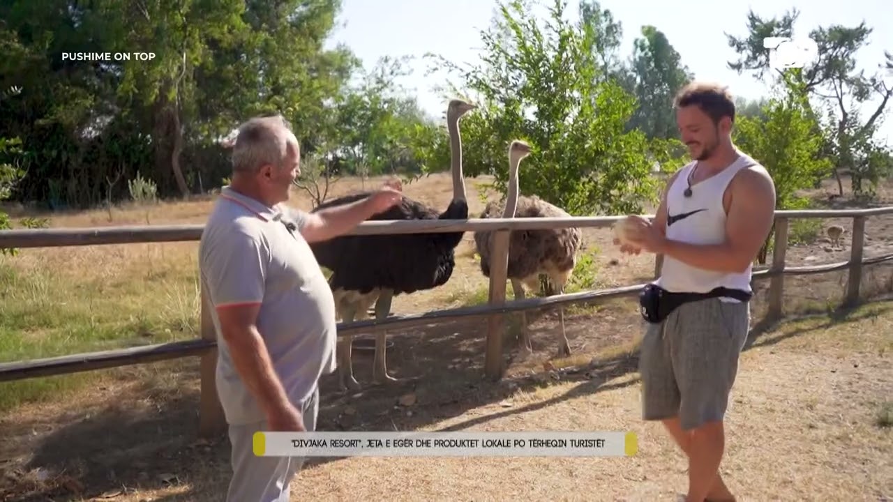 Fantastike / Për herë të parë lindin natyralisht strucë në Shqipëri -Pushime on Top