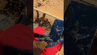 Beach Clean-Up: We Found MONEY, Phones &amp; Lost Treasures!