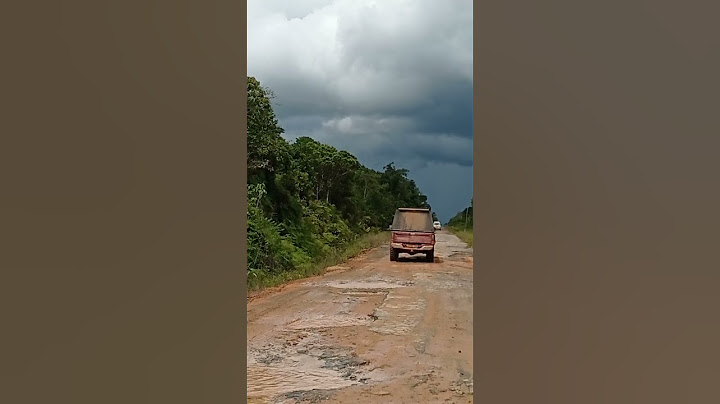 ✅ BR 319 SEGUINDO PARA MANAUS