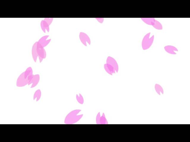 無料 フリー素材 桜の花びら背景 Youtube