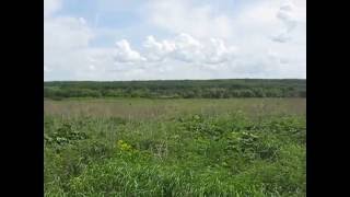 Abandoned Villages. Старополье. Пензенская область. Заброшенные деревни.