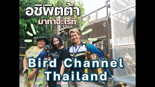 EP. พิเศษ​ Aciphitta story x Bird Channel