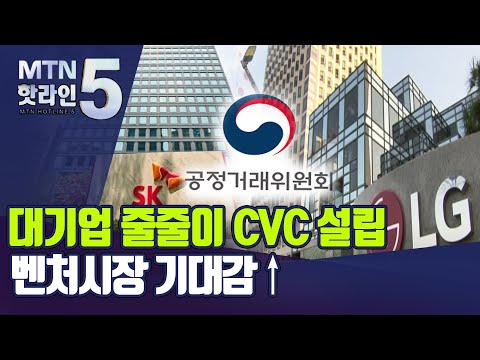   대기업 줄줄이 CVC 설립 기웃 새 정부 규제완화까지 더해져 벤처시장 기대감 머니투데이방송 뉴스