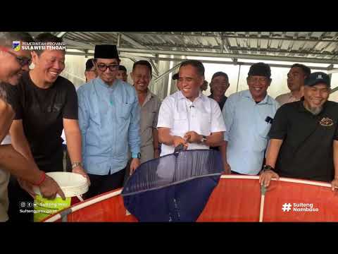 Kunjungan Gubernur Sulawesi Tengah ke lokasi budidaya ikan nila dengan sistem Bioflok
