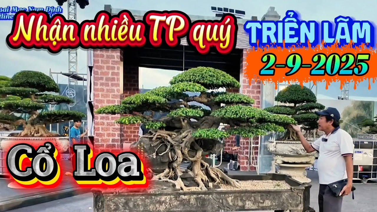 Nhận thêm nhiều tác phẩm quý về triển lãm Cổ Loa Đông Anh Hà Nội