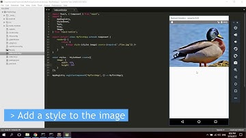React Native for Beginners #7 - Images in your app