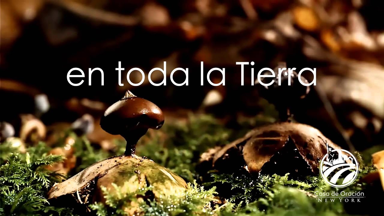 Quiero conocerte mas - Alabanza y Adoración- Sesión completa- Chuy Garcia - Casa De Oración Mexico