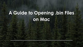 A Guide to Opening .bin Files on Mac