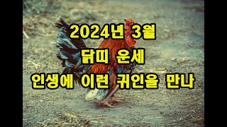 2024년 3월 닭띠운세 일상에 이런귀인이 있을까