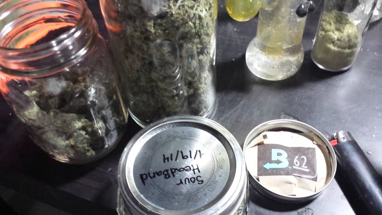 LaTe 4/20 HaRVeST. SuPer SoUR D & Sour HeaDBaND