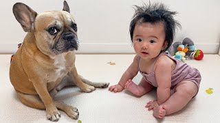 Similarities Between My Dog and Our Baby **CUTEST VIDEO