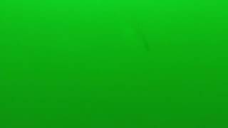 GoPro - Walleye Underwater - Port Burwell Aug21 2023