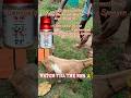 For The Control Of Ticks, Flies lice and Mites On Goats And sheeps during pregnancy period #shorts