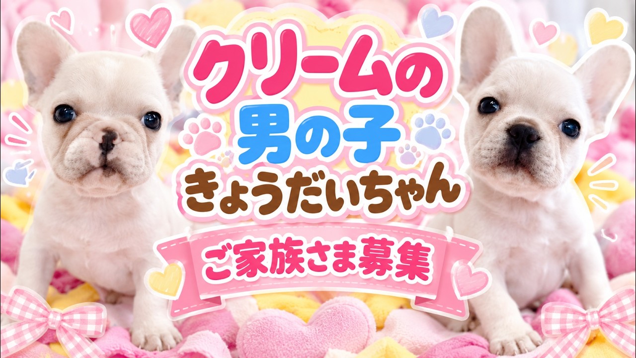 もこわんこ YouTube