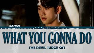 Zeenan (정진환) - What you gonna do 'The Devil Judge OST' (Color Coded Lyrics Han|Rom|Eng) Resimi