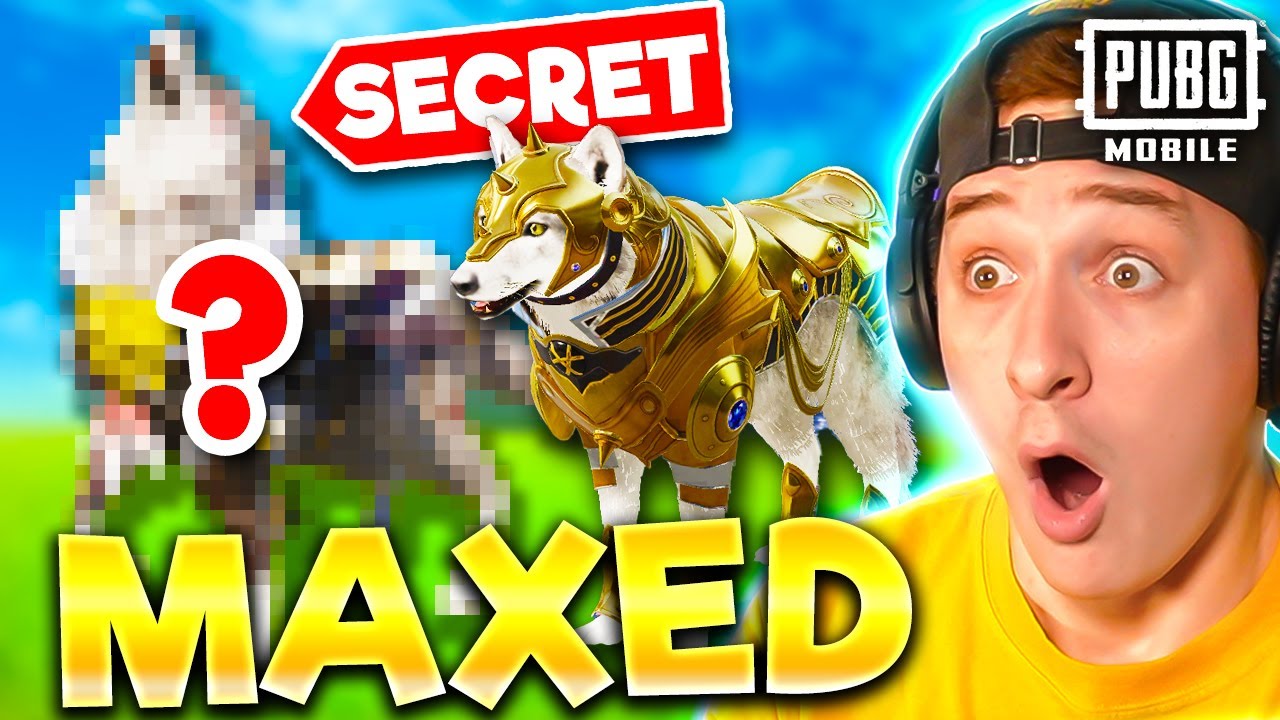 NEW MAXED WOLF PET has SECRET SKIN 🐺😍 - YouTube