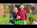 Caleb goes bug hunting outside with dad learn about bugs and insect facts for kids