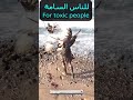 For Toxic People 🖤 | My Life Has No Place for You!! حياتي ليست مكاناً لكم👌!! #Short