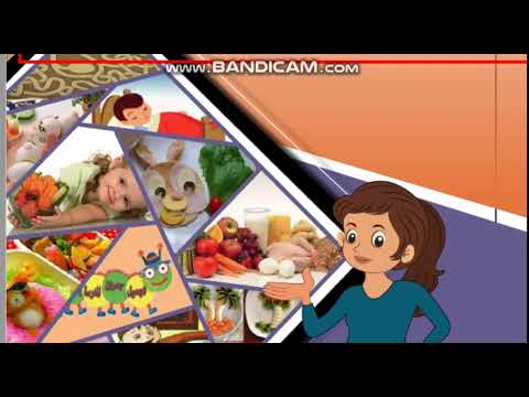 دليل المعلم في مادة الأنشطة والمهارات العملية الاقتصاد المنزلي للصف الأول الابتدائي فصل دراسي أول