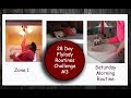 28-Day FlyLady Routines Challenge || 02/03/18 || Day 3 ||