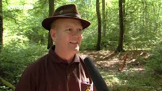 BWeins-Nachrichten 18.08.2026