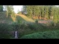 Лес пение птиц. Видео 4K 60fps. Природа. Новосибирская область. Nature. Novosibirsk region Russia.