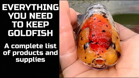 EVERYTHING YOU NEED TO KEEP GOLDFISH - List of products and supplies needed to keep goldfish!