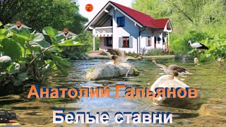 Анатолий Гальянов.   Белые ставни