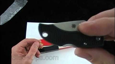 Spyderco Ladybug ZDP FFG