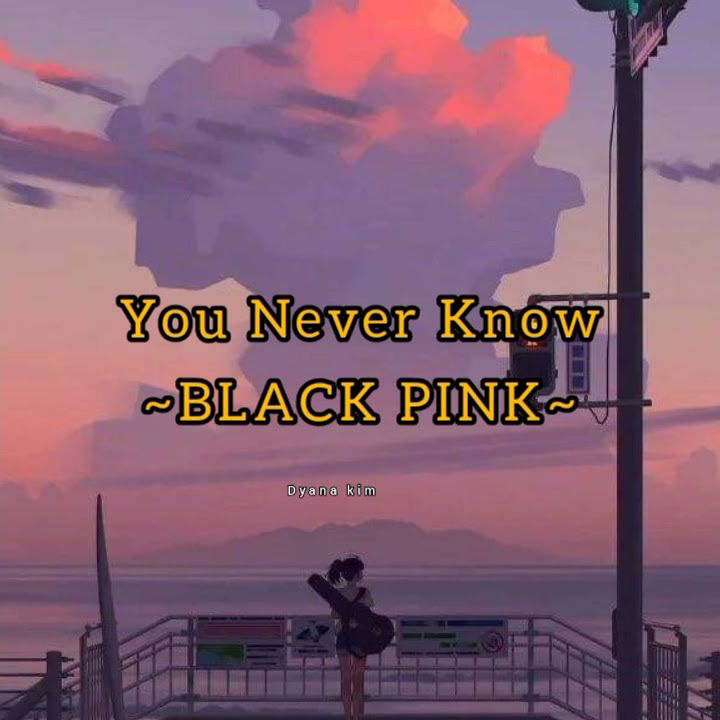 BLACK PINK ~YOU NEVER KNOW~ Lirik indo sub/ story wa