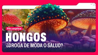 MICRODOSIS DE HONGOS: ¿MODA O SALUD? | Filo.Explica