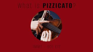 What is PIZZICATO? | 1MMT Ep.17