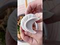 Unique Dumpling Folding Styles You’ve Never Seen Before! 🥟🔥 | #Shorts #momos #dumplingfolding